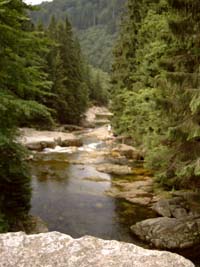 Bergbach in Tschechien